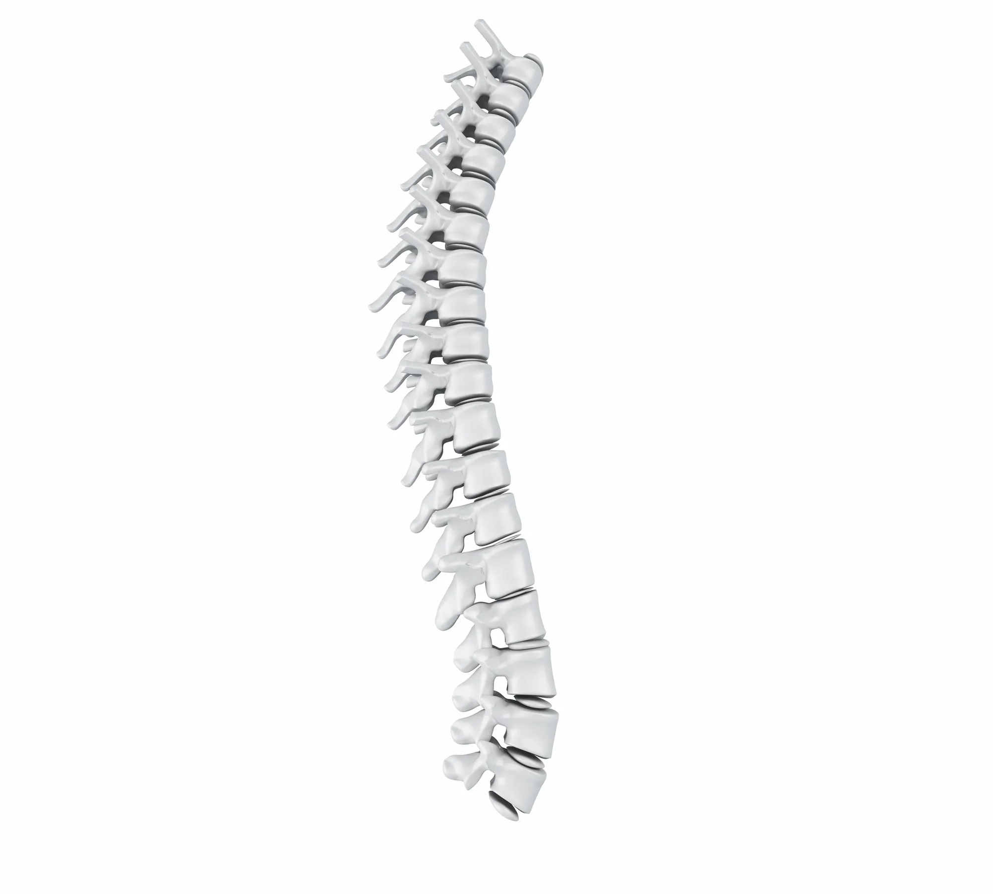 Cover for Herniated Disc and Chiropractic